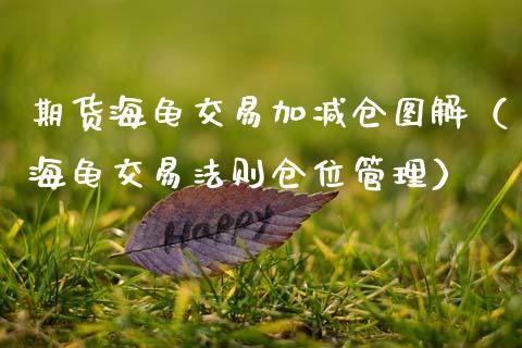 期货海龟交易加减仓图解（海龟交易法则仓位管理）