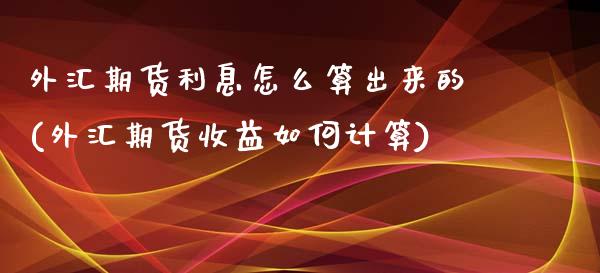 外汇期货利息怎么算出来的(外汇期货收益如何计算)