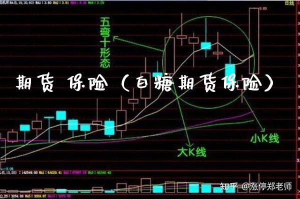 期货 保险（白糖期货保险）
