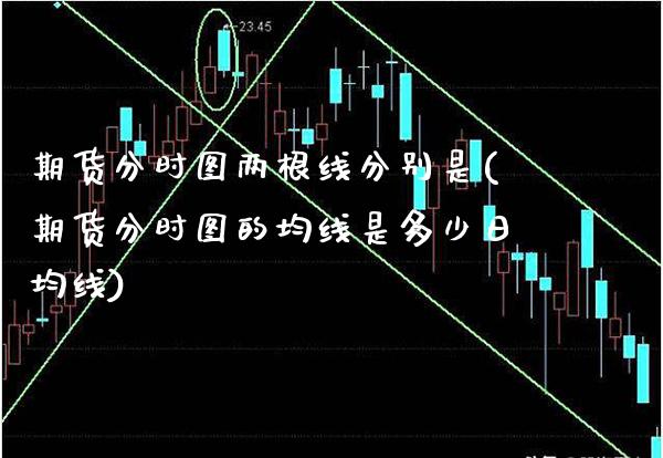 期货分时图两根线分别是(期货分时图的均线是多少日均线)_https://www.boyangwujin.com_期货开户_第1张