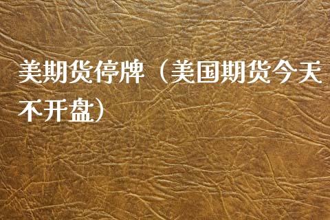 美期货停牌（美国期货今天不开盘）