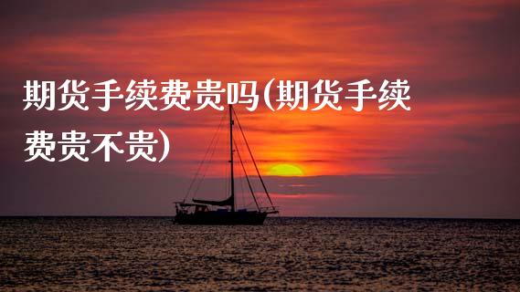 期货手续费贵吗(期货手续费贵不贵)
