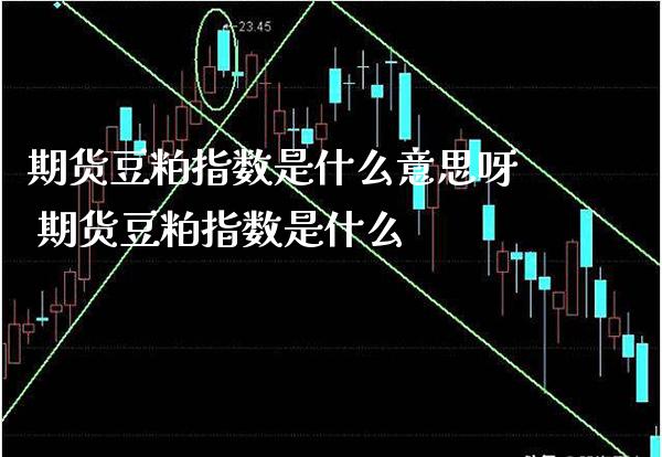 期货豆粕指数是什么意思呀 期货豆粕指数是什么_https://www.boyangwujin.com_期货直播间_第1张