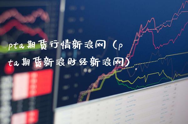 pta期货行情新浪网（pta期货新浪财经新浪网）