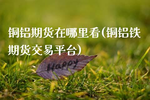 铜铝期货在哪里看(铜铝铁期货交易平台)_https://www.boyangwujin.com_原油直播间_第1张