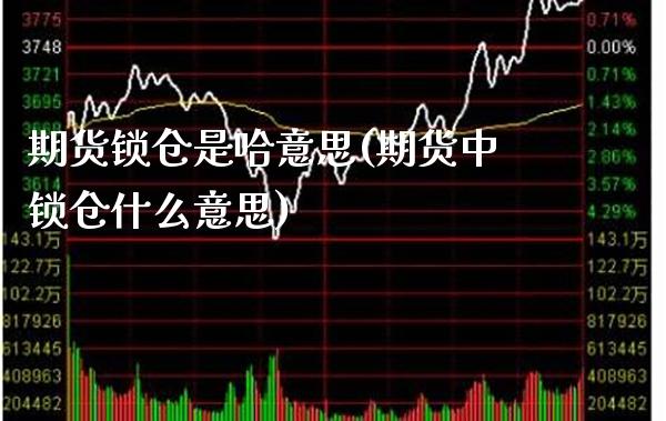 期货锁仓是哈意思(期货中锁仓什么意思)_https://www.boyangwujin.com_期货科普_第1张