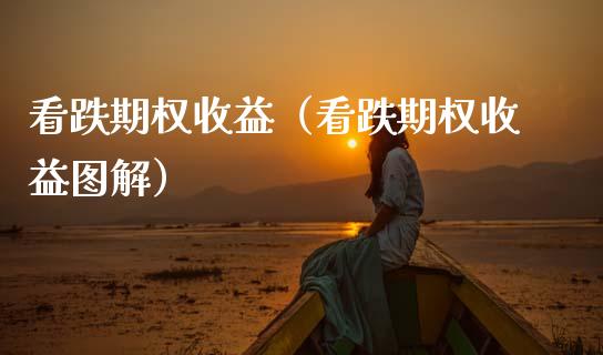 看跌期权收益（看跌期权收益图解）_https://www.boyangwujin.com_期货直播间_第1张