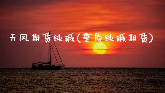 天风期货纯碱(重质纯碱期货)