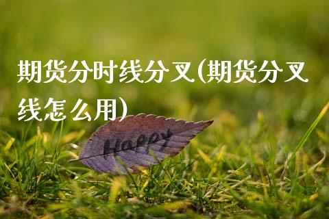 期货分时线分叉(期货分叉线怎么用)_https://www.boyangwujin.com_期货直播间_第1张