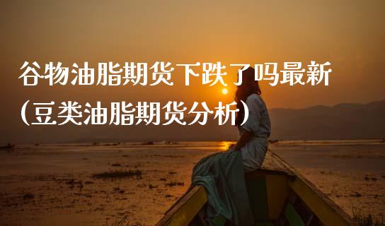 谷物油脂期货下跌了吗最新(豆类油脂期货分析)_https://www.boyangwujin.com_期货直播间_第1张