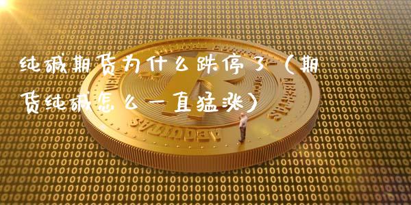 纯碱期货为什么跌停了（期货纯碱怎么一直猛涨）_https://www.boyangwujin.com_期货直播间_第1张