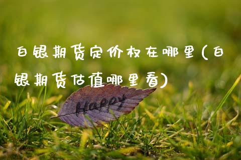 白银期货定价权在哪里(白银期货估值哪里看)_https://www.boyangwujin.com_原油直播间_第1张