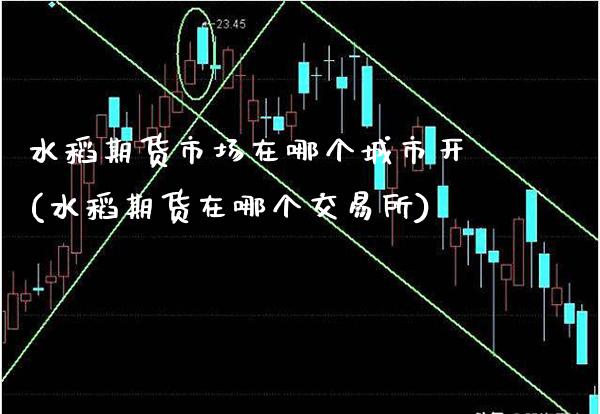 水稻期货市场在哪个城市开(水稻期货在哪个交易所)_https://www.boyangwujin.com_期货科普_第1张