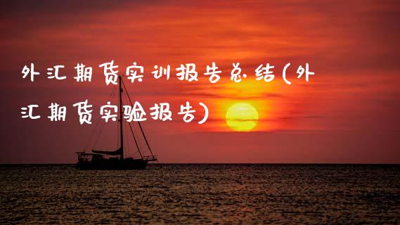 外汇期货实训报告总结(外汇期货实验报告)_https://www.boyangwujin.com_纳指期货_第1张
