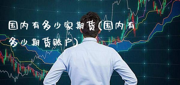 国内有多少家期货(国内有多少期货账户)