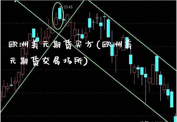 欧洲美元期货买方(欧洲美元期货交易场所)_https://www.boyangwujin.com_期货直播间_第1张