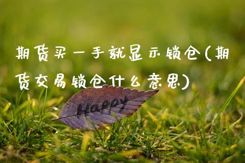 期货买一手就显示锁仓(期货交易锁仓什么意思)_https://www.boyangwujin.com_黄金期货_第1张