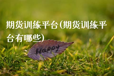 期货训练平台(期货训练平台有哪些)_https://www.boyangwujin.com_纳指期货_第1张