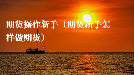 期货操作新手（期货新手怎样做期货）_https://www.boyangwujin.com_期货直播间_第1张