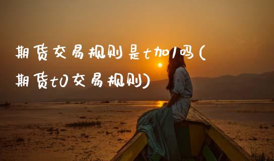 期货交易规则是t加1吗(期货t0交易规则)_https://www.boyangwujin.com_道指期货_第1张