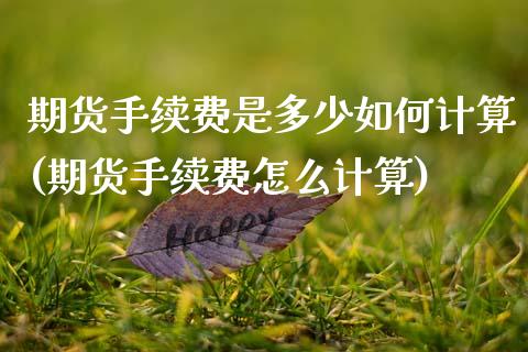 期货手续费是多少如何计算(期货手续费怎么计算)_https://www.boyangwujin.com_原油期货_第1张