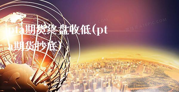 pta期货终盘收低(pta期货抄底)_https://www.boyangwujin.com_期货直播间_第1张