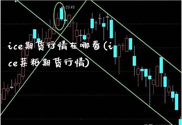 ice期货行情在哪看(ice菜粕期货行情)_https://www.boyangwujin.com_恒生指数_第1张