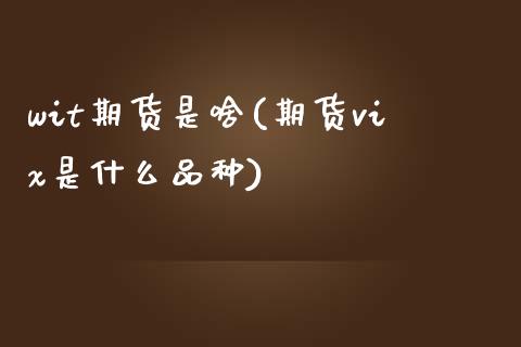 wit期货是啥(期货vix是什么品种)_https://www.boyangwujin.com_道指期货_第1张