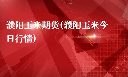 濮阳玉米期货(濮阳玉米今日行情)