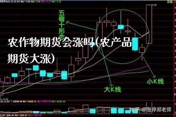 农作物期货会涨吗(农产品期货大涨)
