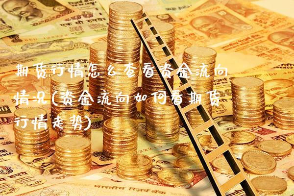 期货行情怎么查看资金流向情况(资金流向如何看期货行情走势)_https://www.boyangwujin.com_内盘期货_第1张