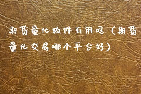 期货量化软件有用吗（期货量化交易哪个平台好）