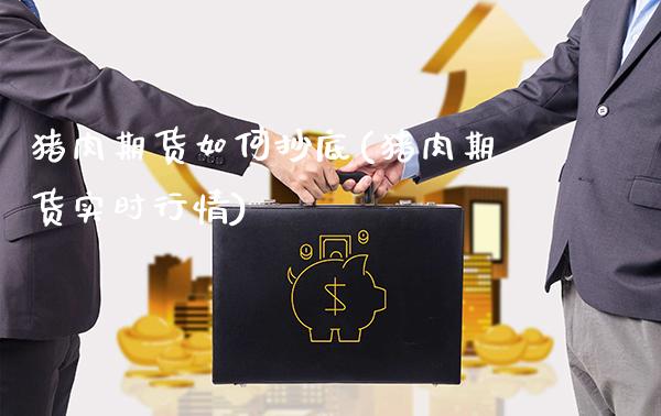 猪肉期货如何抄底(猪肉期货实时行情)