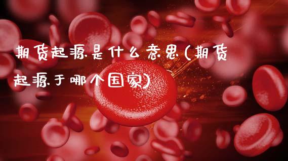 期货起源是什么意思(期货起源于哪个国家)_https://www.boyangwujin.com_期货直播间_第1张