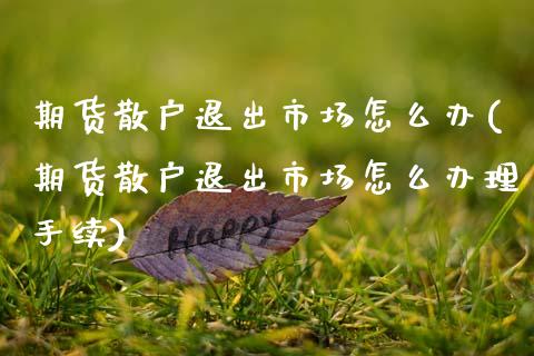 期货散户退出市场怎么办(期货散户退出市场怎么办理手续)_https://www.boyangwujin.com_纳指期货_第1张