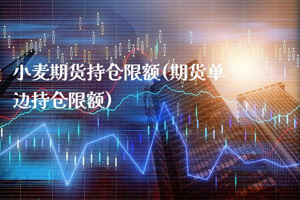 小麦期货持仓限额(期货单边持仓限额)_https://www.boyangwujin.com_期货直播间_第1张