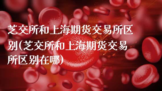 芝交所和上海期货交易所区别(芝交所和上海期货交易所区别在哪)