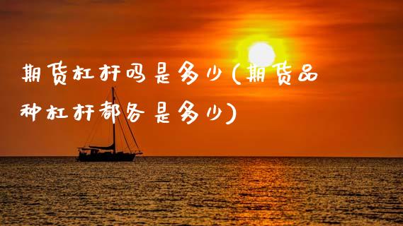 期货杠杆吗是多少(期货品种杠杆都各是多少)_https://www.boyangwujin.com_期货直播间_第1张