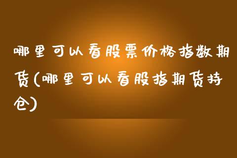 哪里可以看股票价格指数期货(哪里可以看股指期货持仓)