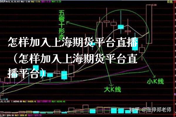 怎样加入上海期货平台直播（怎样加入上海期货平台直播平台）