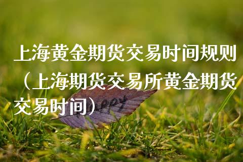 上海黄金期货交易时间规则（上海期货交易所黄金期货交易时间）_https://www.boyangwujin.com_期货直播间_第1张