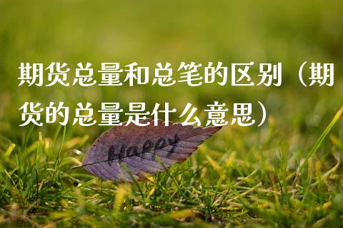 期货总量和总笔的区别（期货的总量是什么意思）