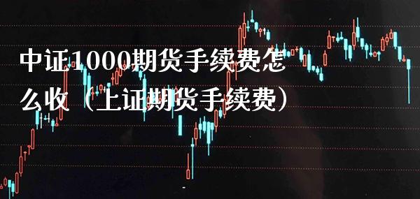 中证1000期货手续费怎么收（上证期货手续费）_https://www.boyangwujin.com_期货直播间_第1张