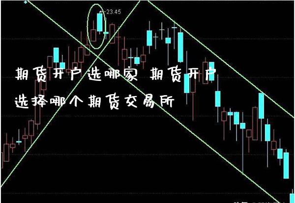 期货开户选哪家 期货开户选择哪个期货交易所_https://www.boyangwujin.com_道指期货_第1张