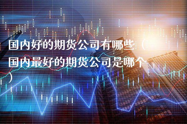 国内好的期货公司有哪些（国内最好的期货公司是哪个）_https://www.boyangwujin.com_纳指期货_第1张
