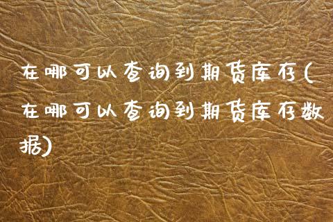 在哪可以查询到期货库存(在哪可以查询到期货库存数据)_https://www.boyangwujin.com_期货直播间_第1张