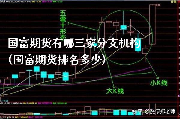 国富期货有哪三家分支机构(国富期货排名多少)_https://www.boyangwujin.com_原油期货_第1张