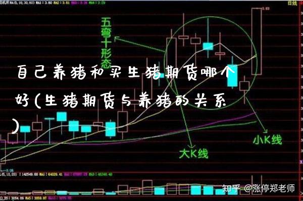自己养猪和买生猪期货哪个好(生猪期货与养猪的关系)_https://www.boyangwujin.com_期货直播间_第1张