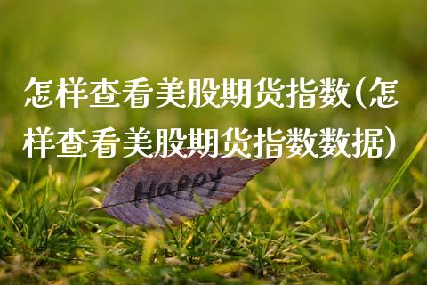 怎样查看美股期货指数(怎样查看美股期货指数数据)_https://www.boyangwujin.com_恒指期货_第1张