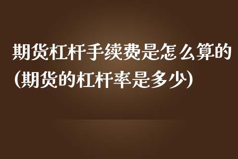 期货杠杆手续费是怎么算的(期货的杠杆率是多少)_https://www.boyangwujin.com_恒生指数_第1张